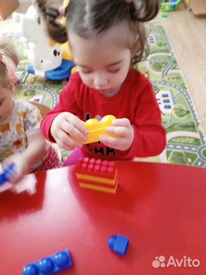 Частный сад бамси на Сормовской