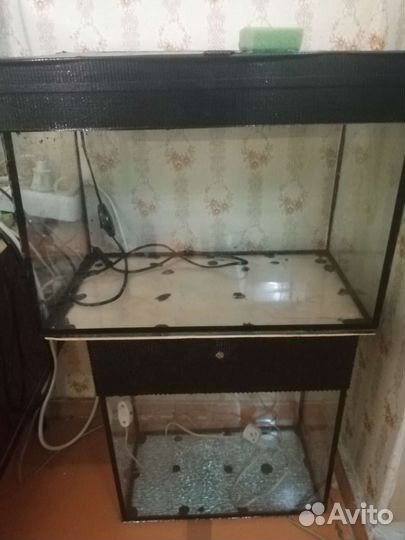 Аквариумы 10 штук