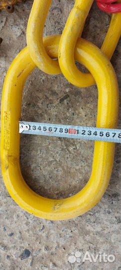 Паук цепной