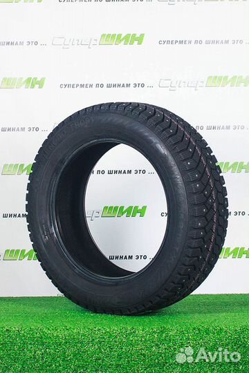 Gislaved Nord Frost 200 205/60 R16