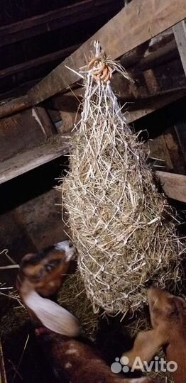 Рептух для сена