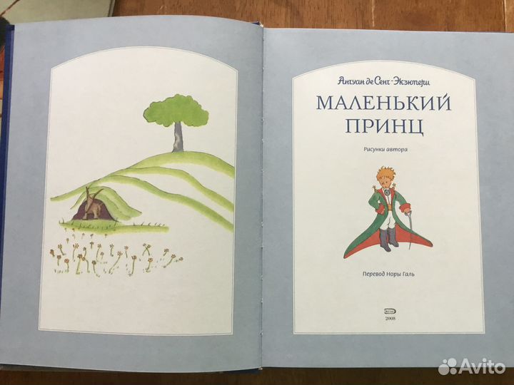 Маленький принц, Эльма тайное пророчество