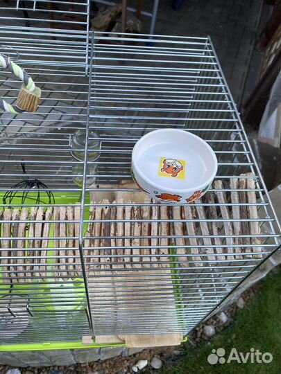 Клетка для грызунов
