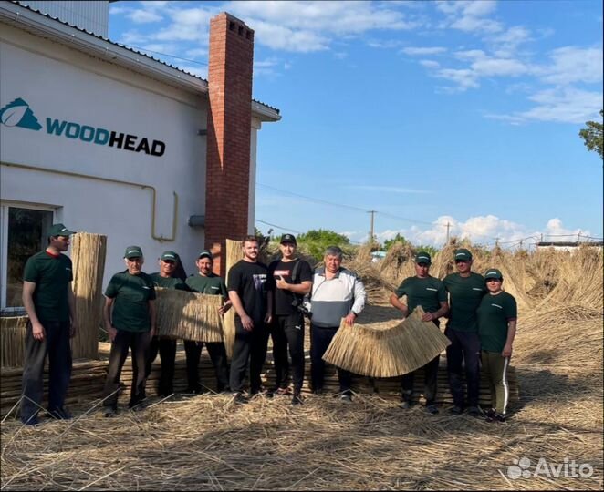 Камышовый забор