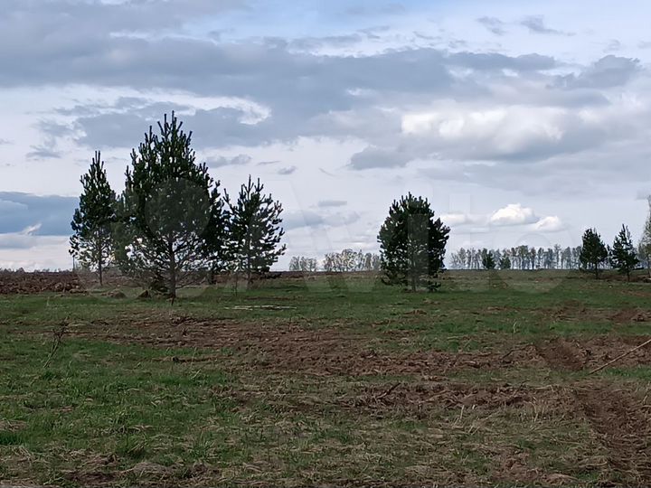 Участок 10 сот. (ИЖС)