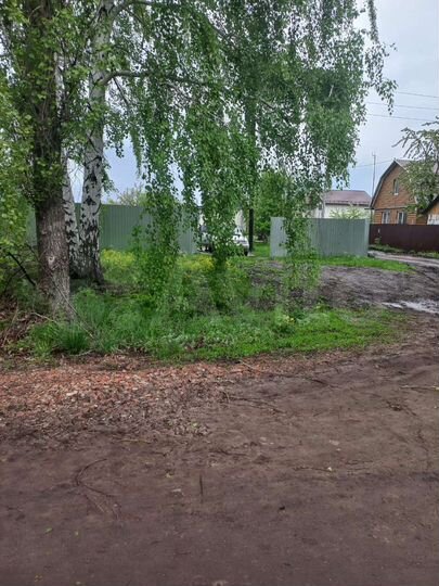 Участок 6 сот. (СНТ, ДНП)