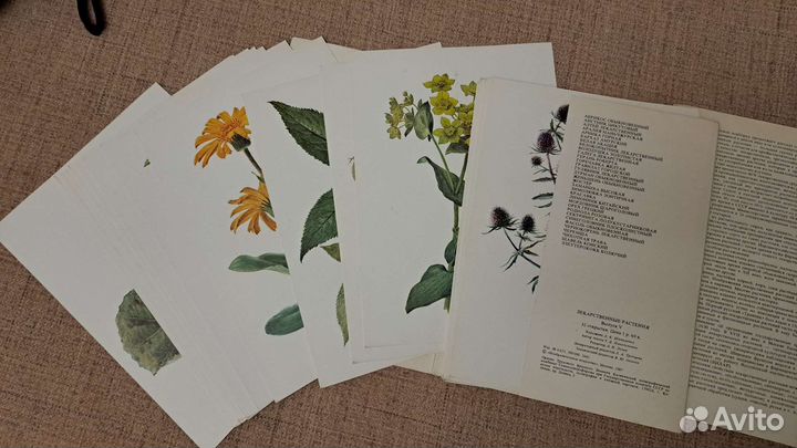 Открытки лекарственные растения выпуск 4 и 5