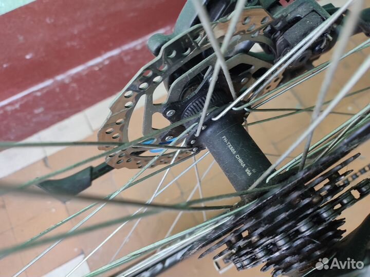 Гибрид Stinger Campus 1.0 Disk