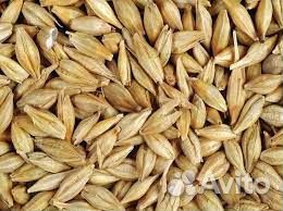 Пшеница, ячмень, комбикорма для с/х животных