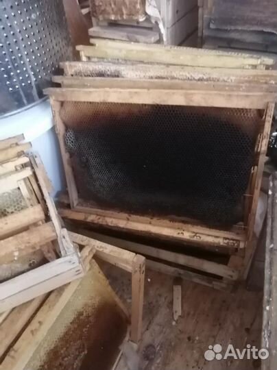 Сушь для пчел, рамки с ващиной