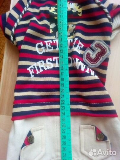 Костюмчик для собачки (31см)