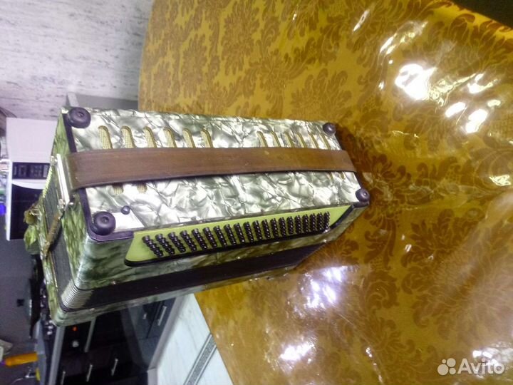 Баян немецкий