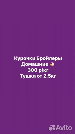 Куры бройлеры тушки мясо