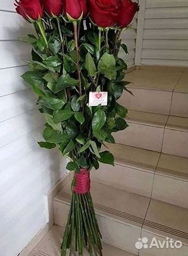 Розы Букеты Цветы Розы 31 101 151 201 Доставка