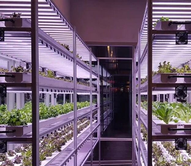 Фитолампа для выращивания зелени и микрозелени