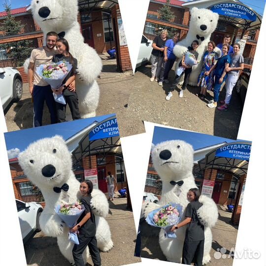 Белый мишка, Панда, Мишка Тедди, чебурашка