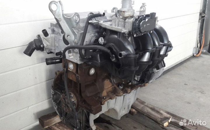 Двигатель Renault Kangoo 1.6