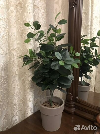 Дерево Фикус Пальма искусственные цветы Икеа