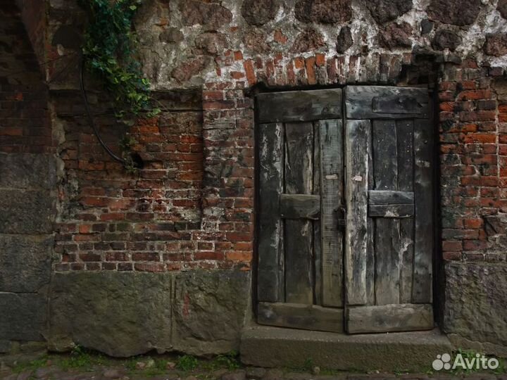 Экскурсия — Выборг — Выборг, или Средневековая Ска