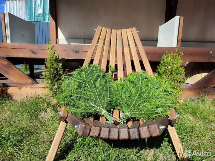 Пихтовый веник в наличии