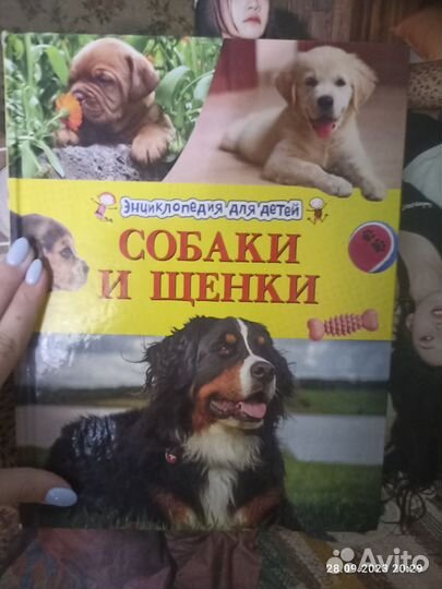 Детская энциклопедия