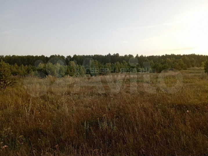 Участок 12,8 сот. (ИЖС)