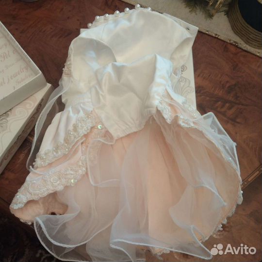 Одежда для собаки