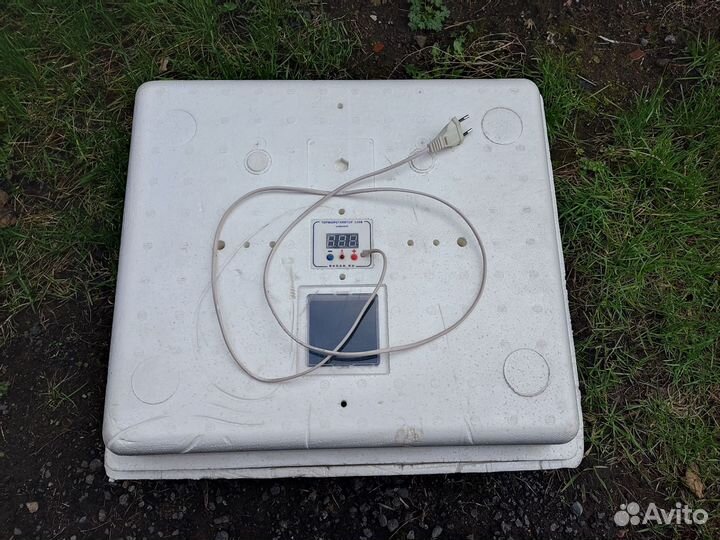 Инкубатор для яиц