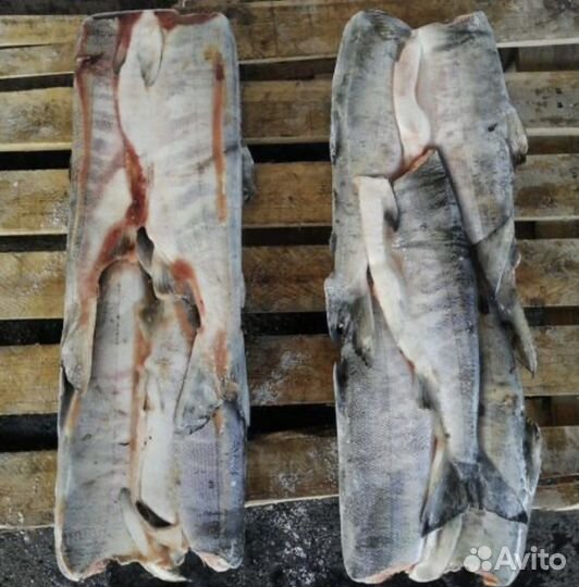 Кета свежемороженая