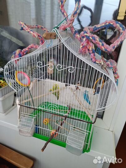 Клетка для попугая