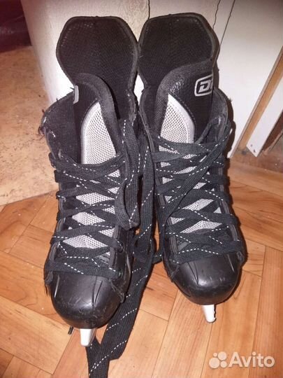 Коньки 31 раз