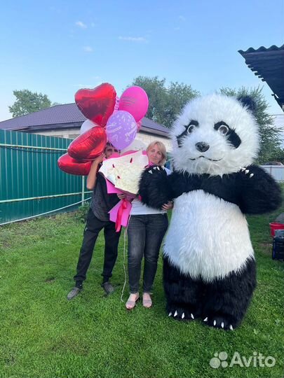 Мишка Панда Поздравление