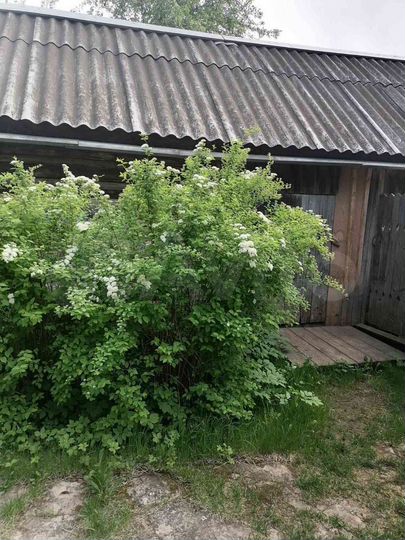 Дом 99,1 м² на участке 21 сот.