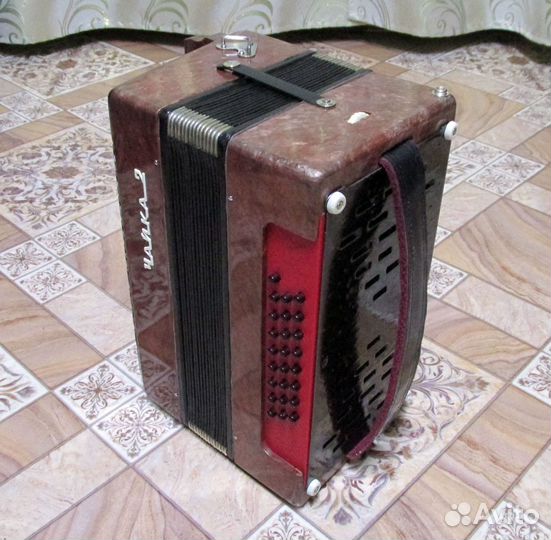 Шуйская Чайка 2