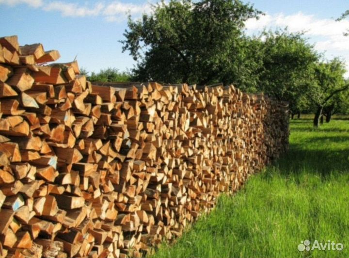 Сухие березовые дрова