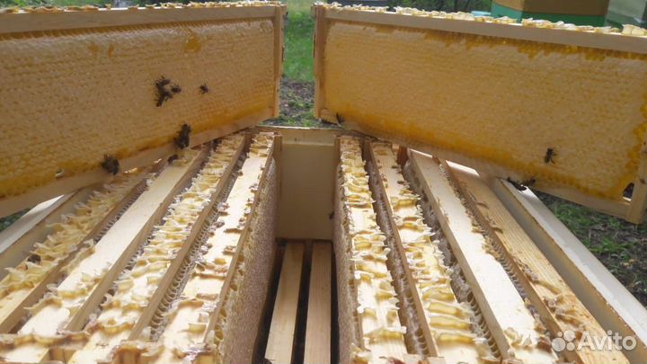 Мед, мёд сотовый