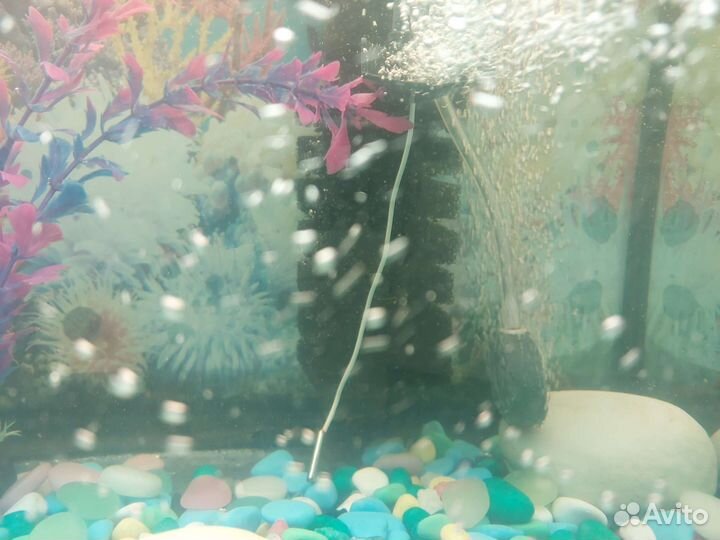 Аквариум