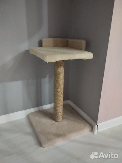 Когтеточка