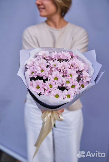 Хризантема кустовая