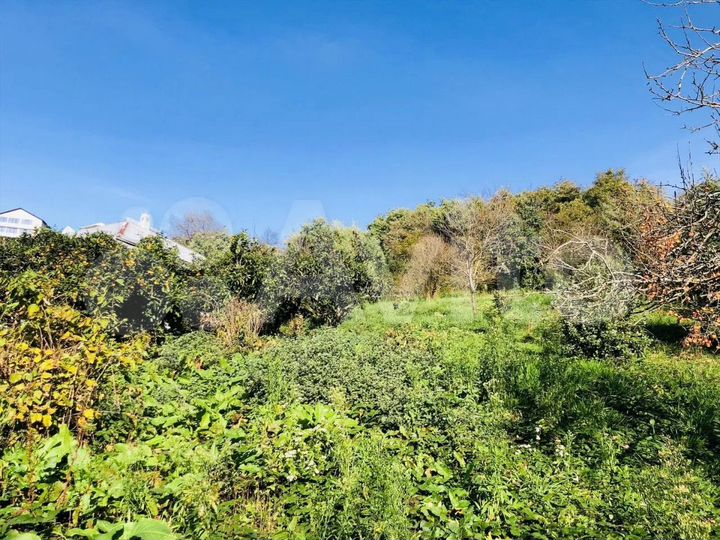 Участок 24 сот. (ИЖС)