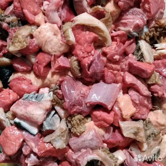 Мясо говядина для собак