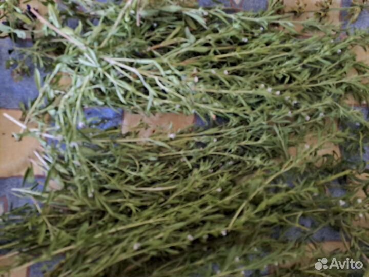 Травы пряные, лекарственные, сушенные