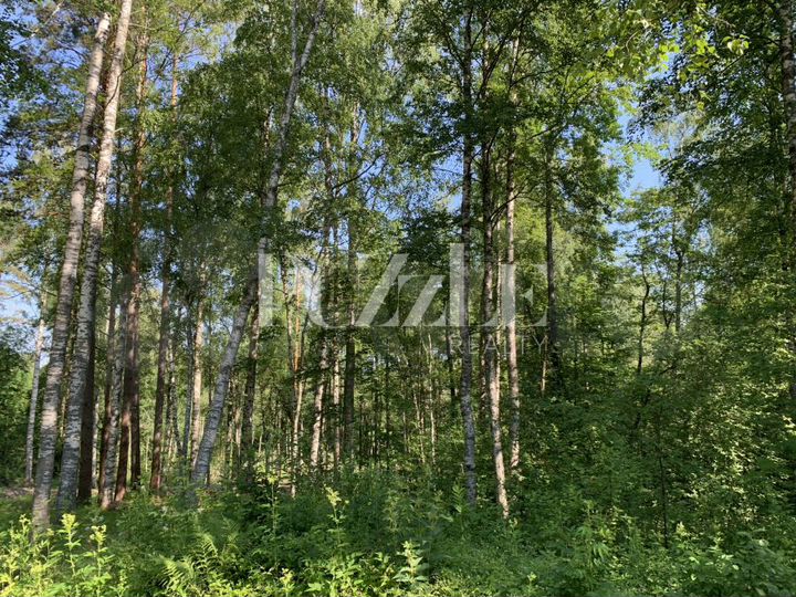 Участок 15 сот. (СНТ, ДНП)