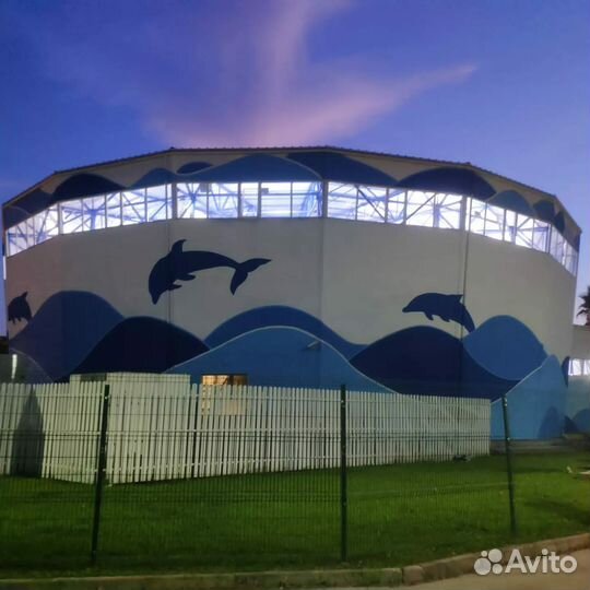 Роспись стен - Граффити - услуги художника