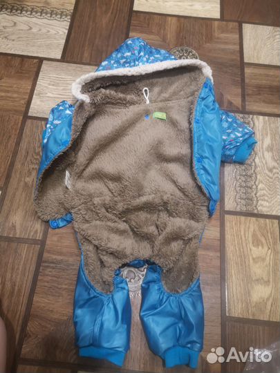 Комбинезон для маленькой собаки мальчик