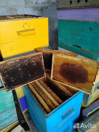 Рамки с сушью