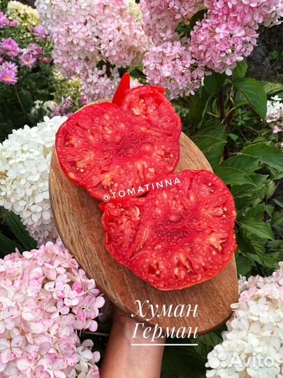 Семена крупноплодных томатов