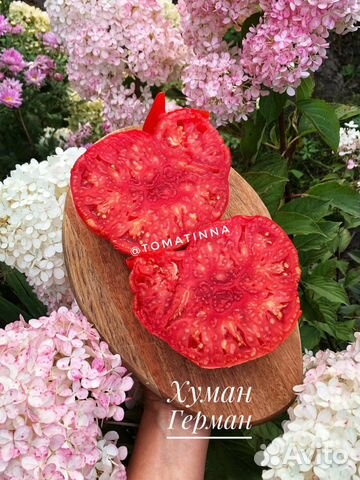 Семена крупноплодных томатов