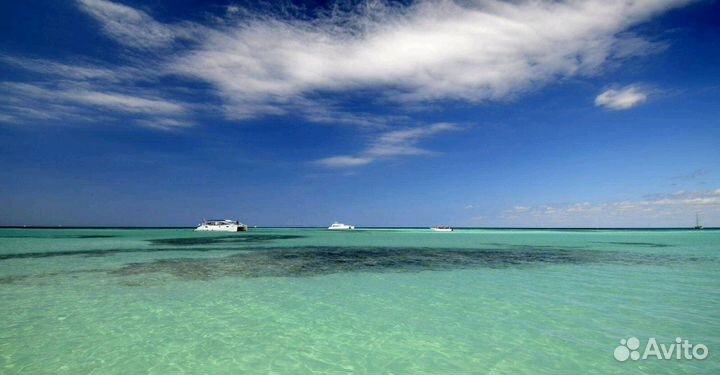 Объектив Nikon 12-24mm f/4G ED-IF AF-S DX Zoom-Nik