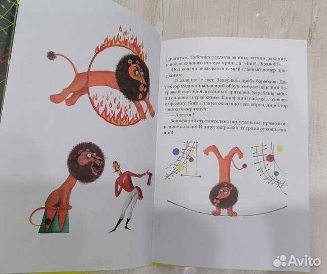Каникулы Бонифация